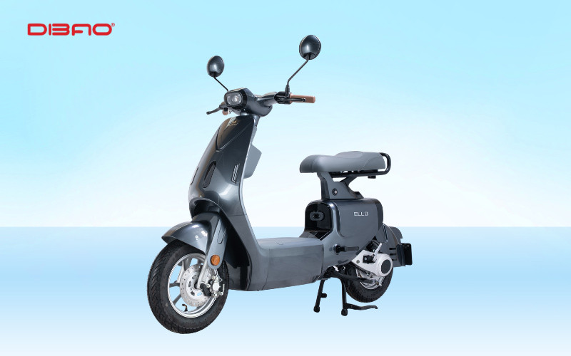 Xe điện màu ghi Dibao Ella